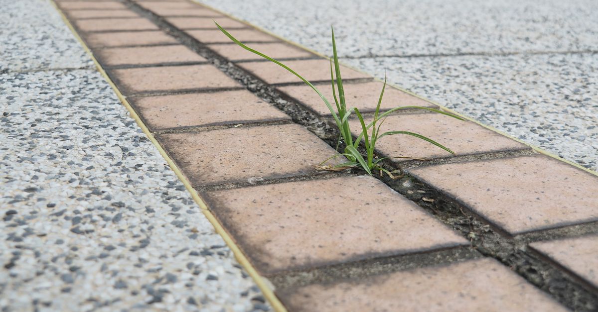 The Role of Reinforcement in Concrete Installation